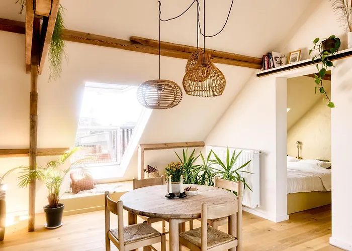 RUIMTEZICHT cosy appartement with sauna