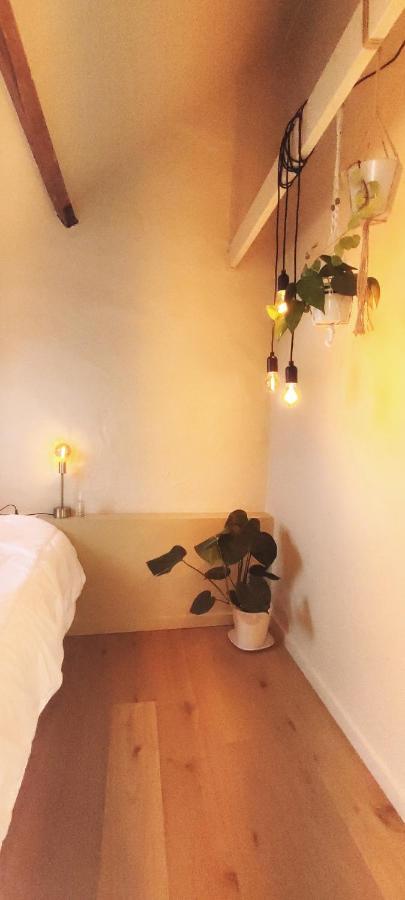 Ruimtezicht Cosy With Sauna Appartement *