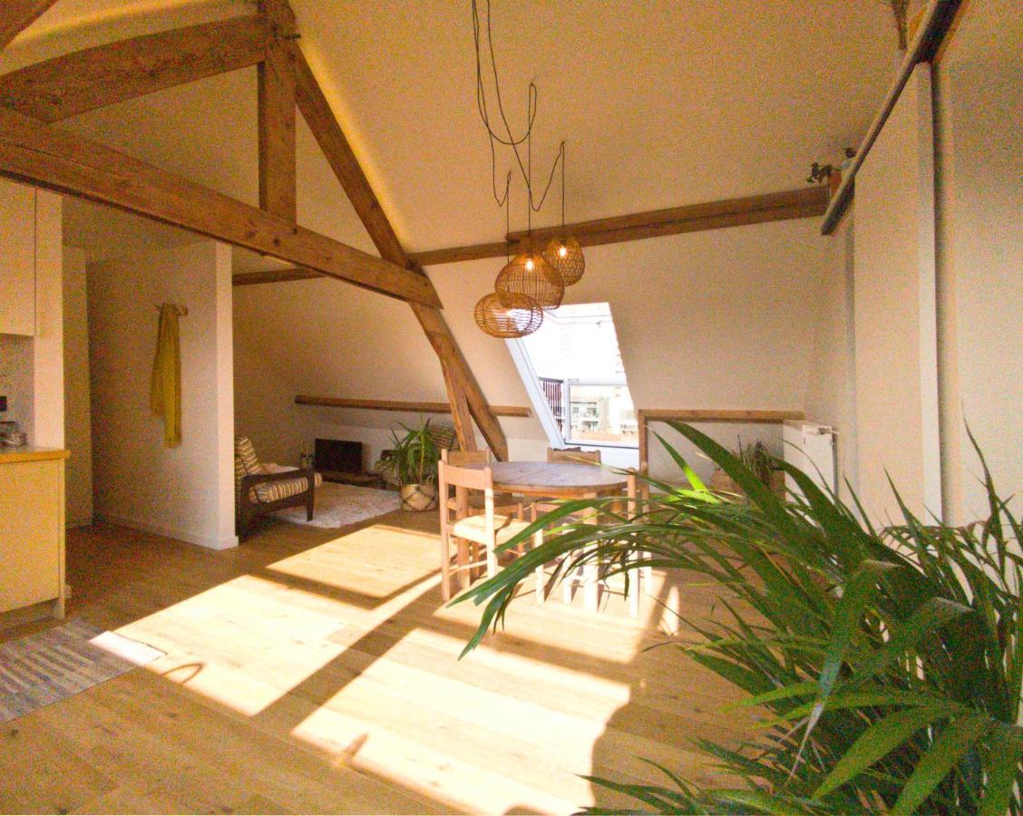 Ruimtezicht Cosy With Sauna * Ostend